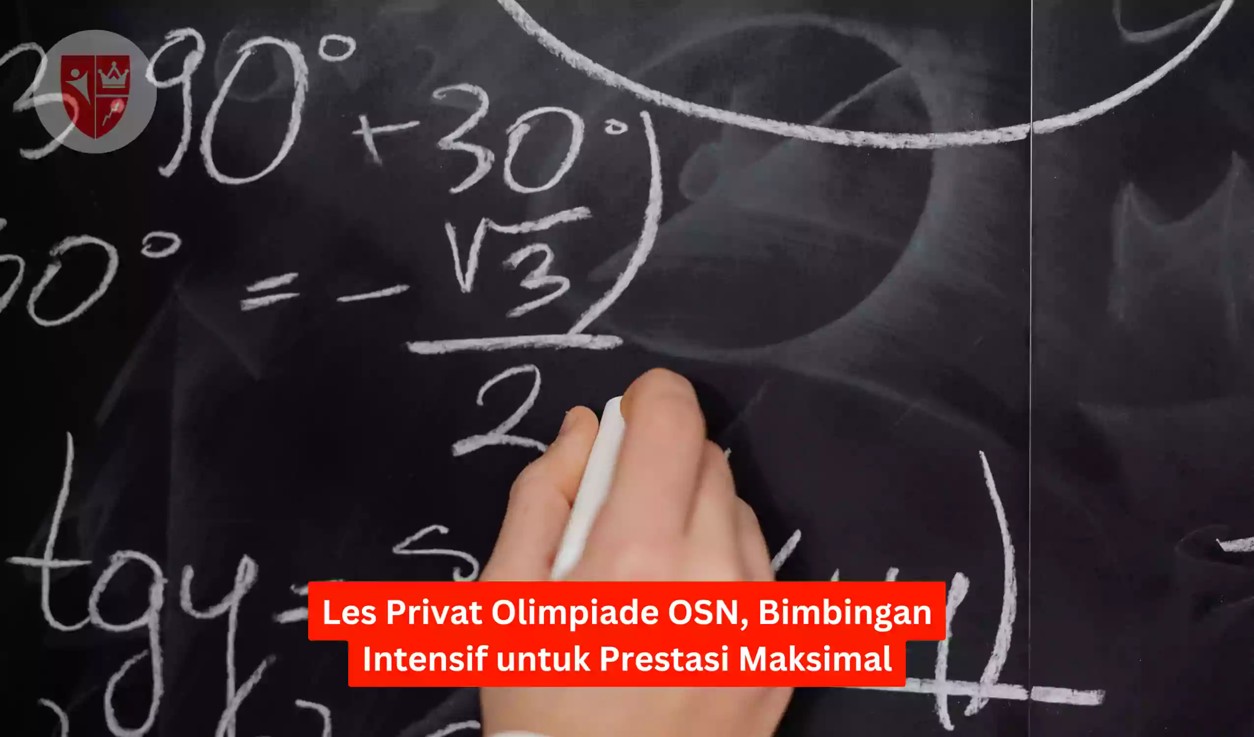 Les Privat Olimpiade OSN, Bimbingan Intensif untuk Prestasi Maksimal