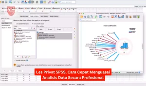 les privat SPSS, kursus analisis data, belajar SPSS online